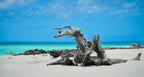 Sandy Cay, Great Barrier Reef – Tropical Island Wall Art