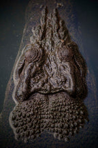 Saltwater Crocodile, Northern Territory – Australian Wildlife Wall Art