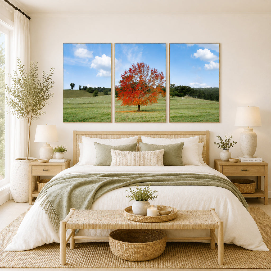 Autumn Sentinel – Bellingen, New South Wales