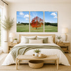 Autumn Sentinel – Bellingen, New South Wales