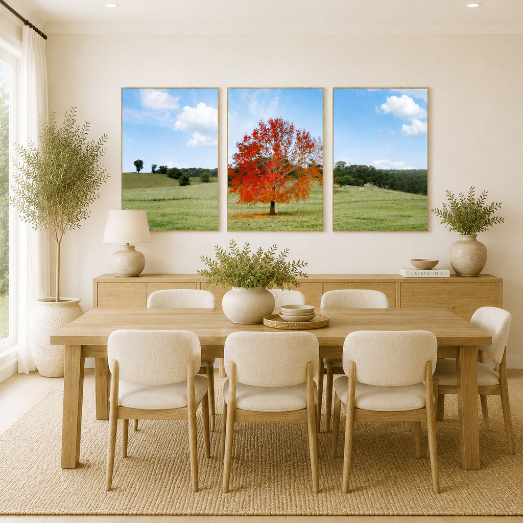 Autumn Sentinel – Bellingen, New South Wales