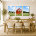 Autumn Sentinel – Bellingen, New South Wales