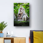 Bali, Indonesia – Monkey Wildlife Wall Art
