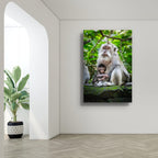 Bali, Indonesia – Monkey Wildlife Wall Art