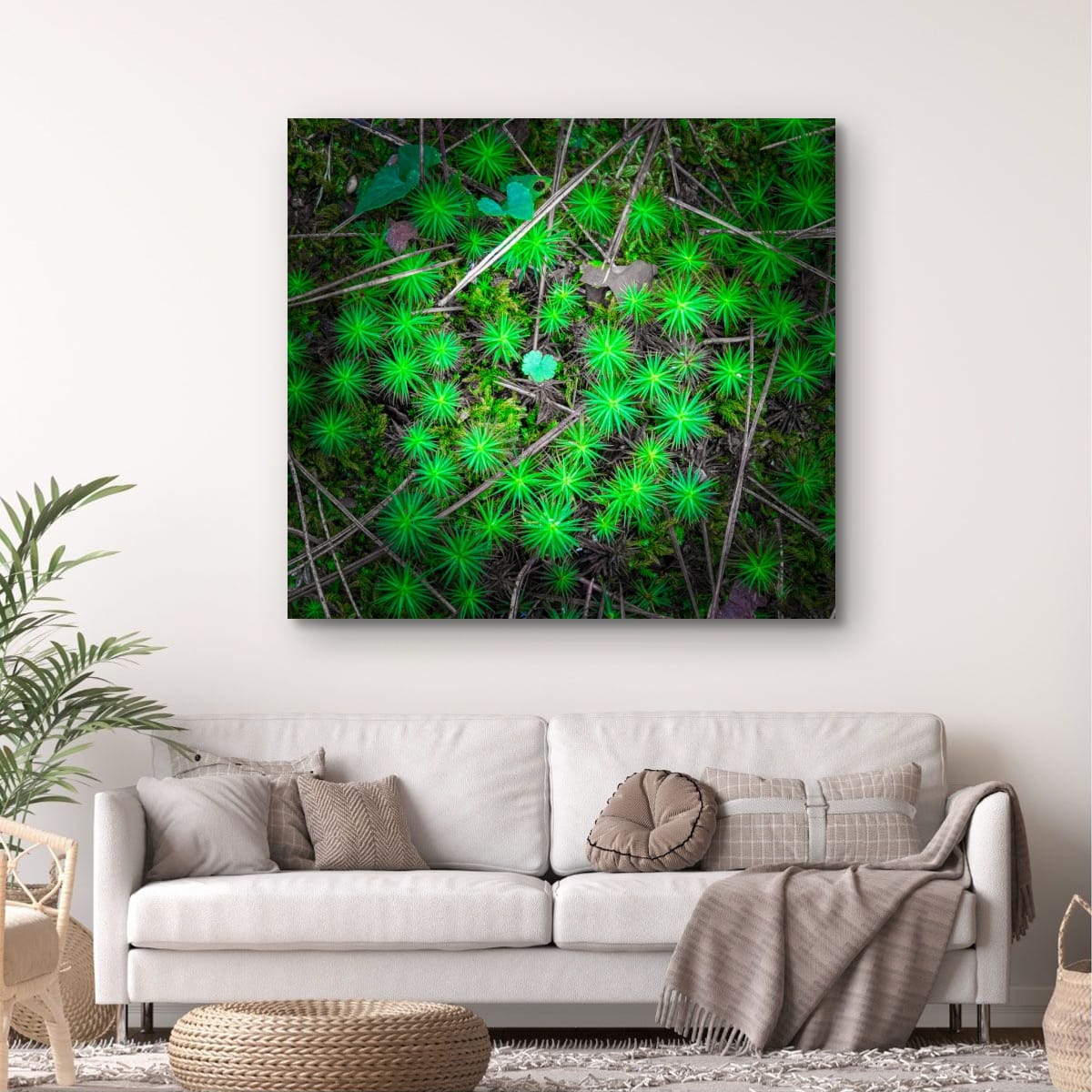 Kenrokuen Garden, Japan – Botanical Nature Wall Art