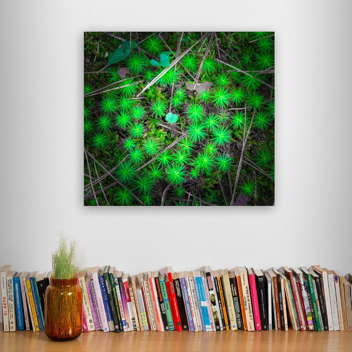 Kenrokuen Garden, Japan – Botanical Nature Wall Art