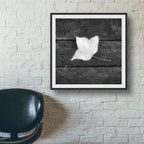 Mount Tamborine, Australia – Lone Leaf Minimalist Nature Wall Art