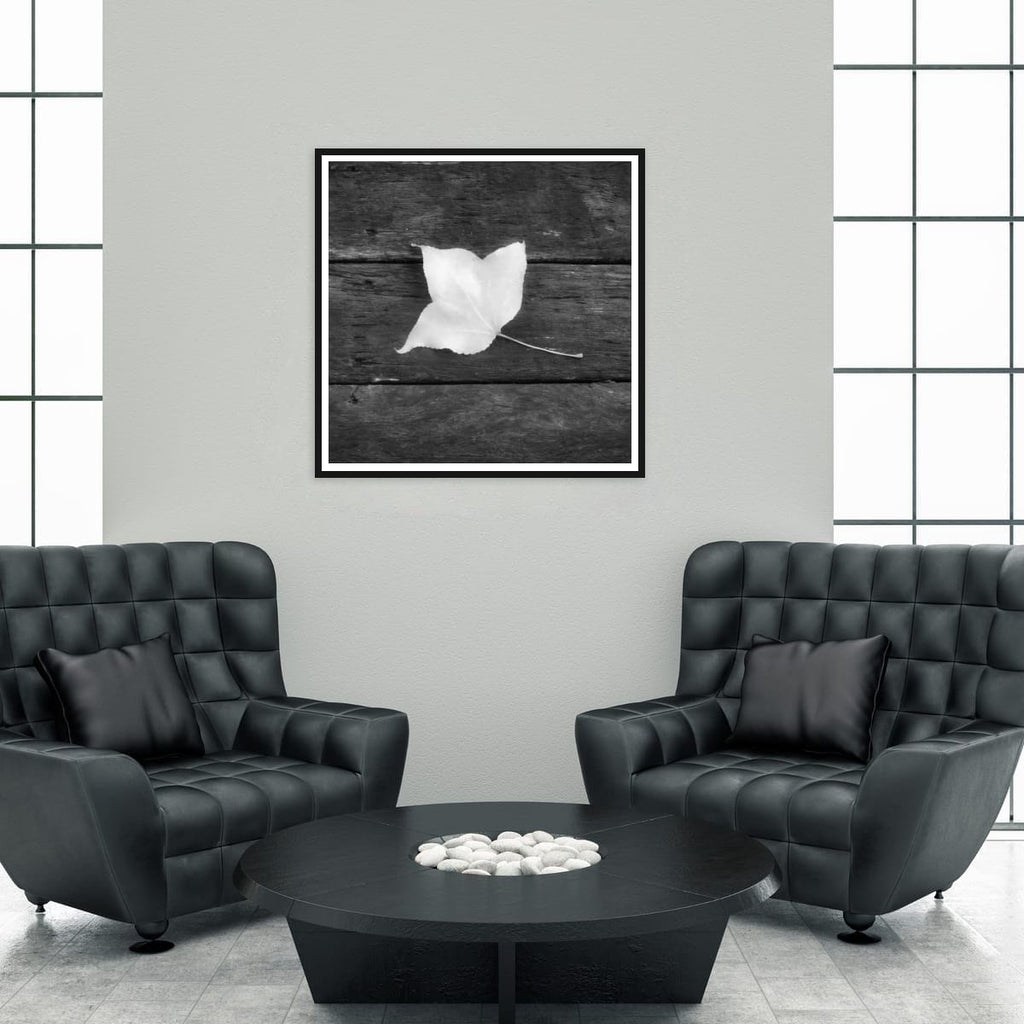 Mount Tamborine, Australia – Lone Leaf Minimalist Nature Wall Art