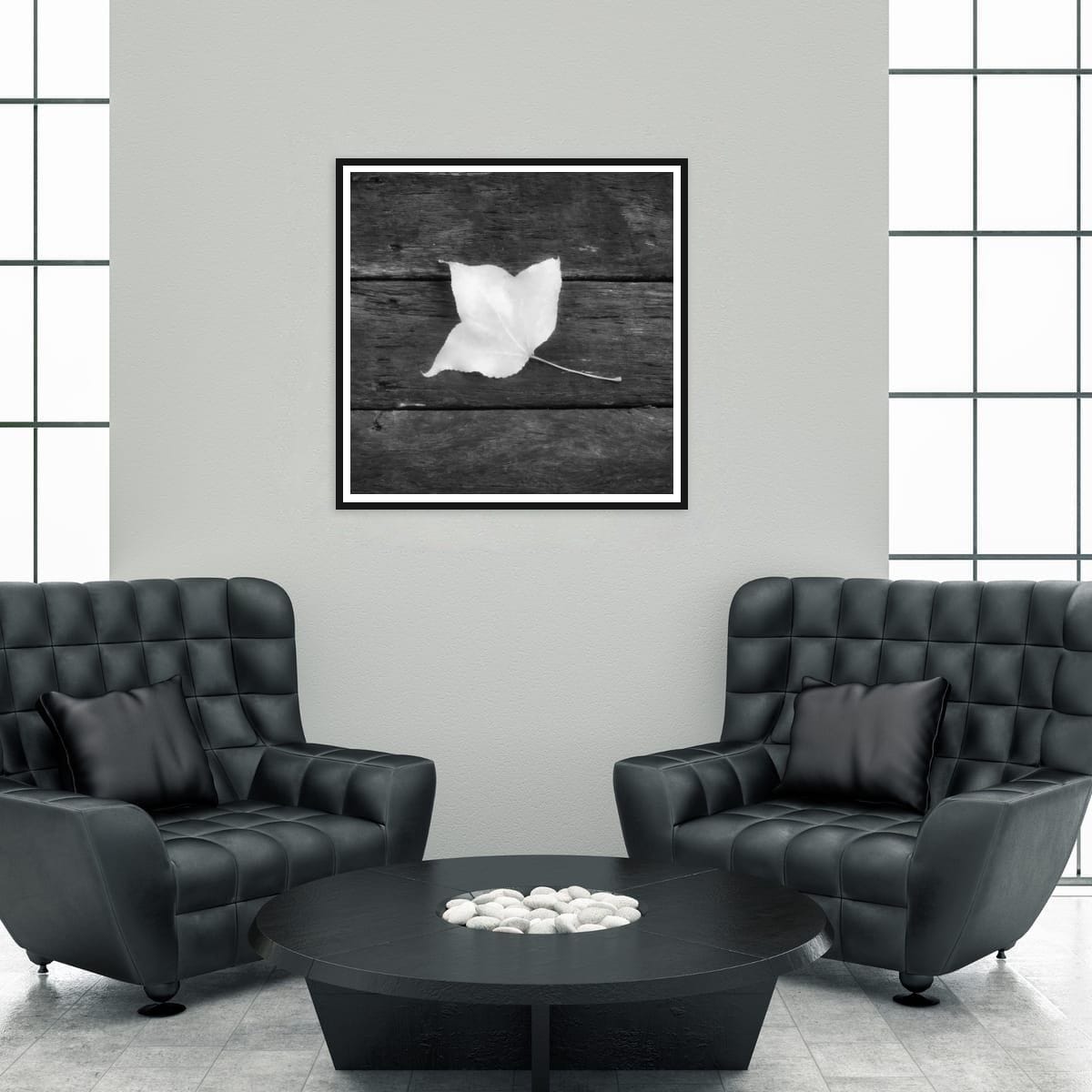 Mount Tamborine, Australia – Lone Leaf Minimalist Nature Wall Art
