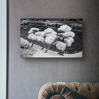 Kiyosumi Garden, Tokyo – Zen Landscape Wall Art