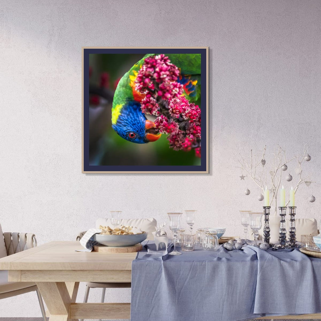 Rainbow Lorikeet – Vibrant Australian Wildlife Wall Art Print