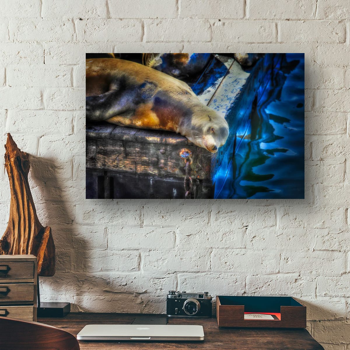San Francisco, United States – Sea Lion Wildlife Wall Art