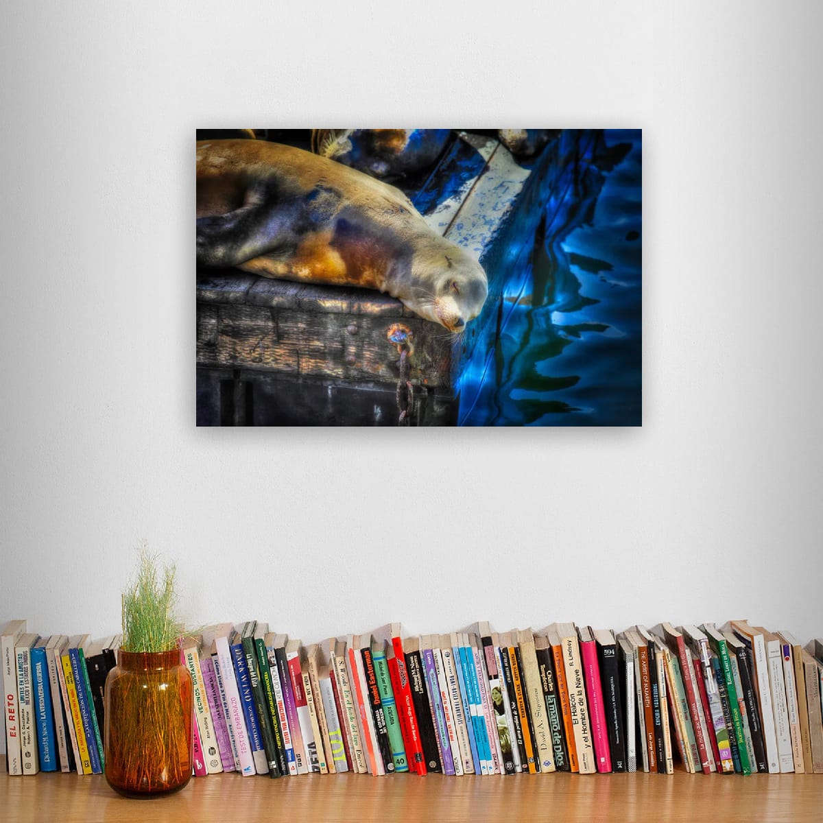 San Francisco, United States – Sea Lion Wildlife Wall Art