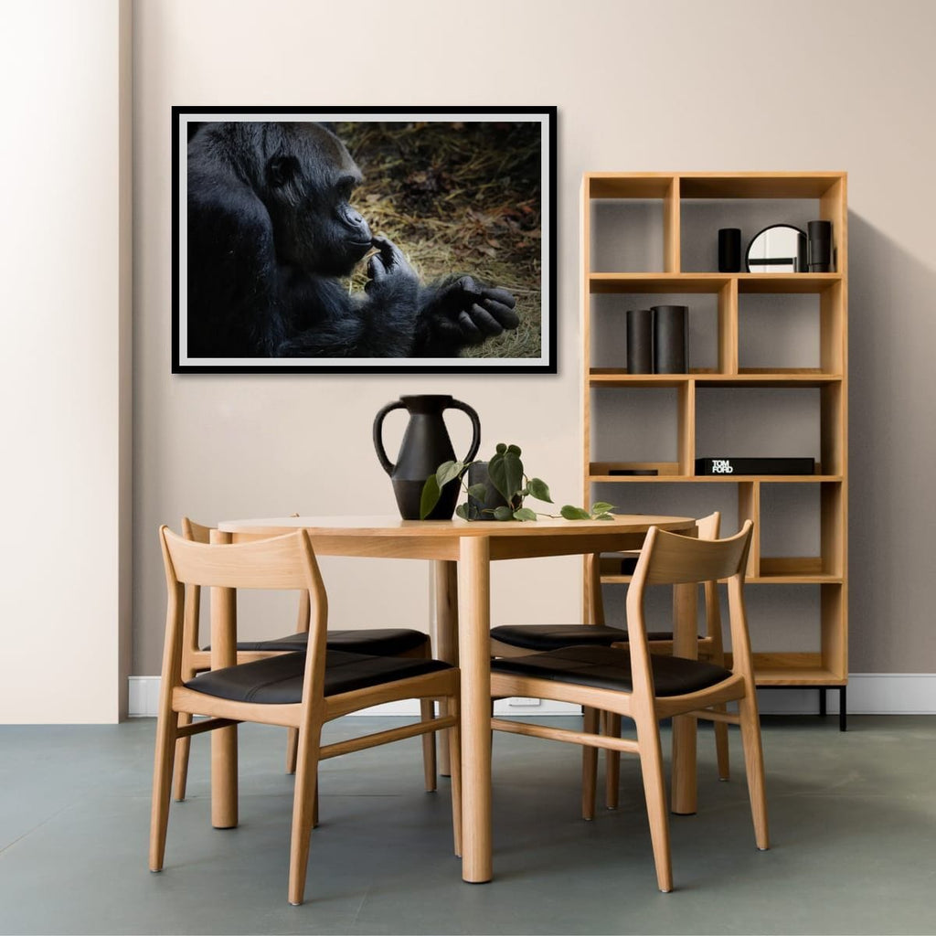Seattle, United States – Gorilla Wildlife Wall Art