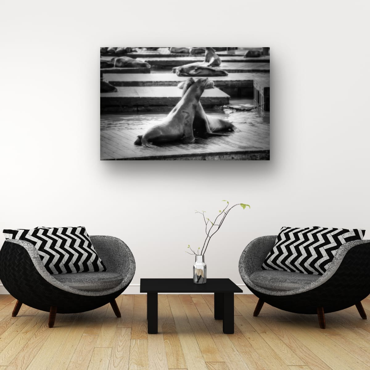 San Francisco, United States – Sea Lion Wildlife Wall Art