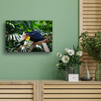 Bali, Indonesia – Hornbill Wildlife Wall Art