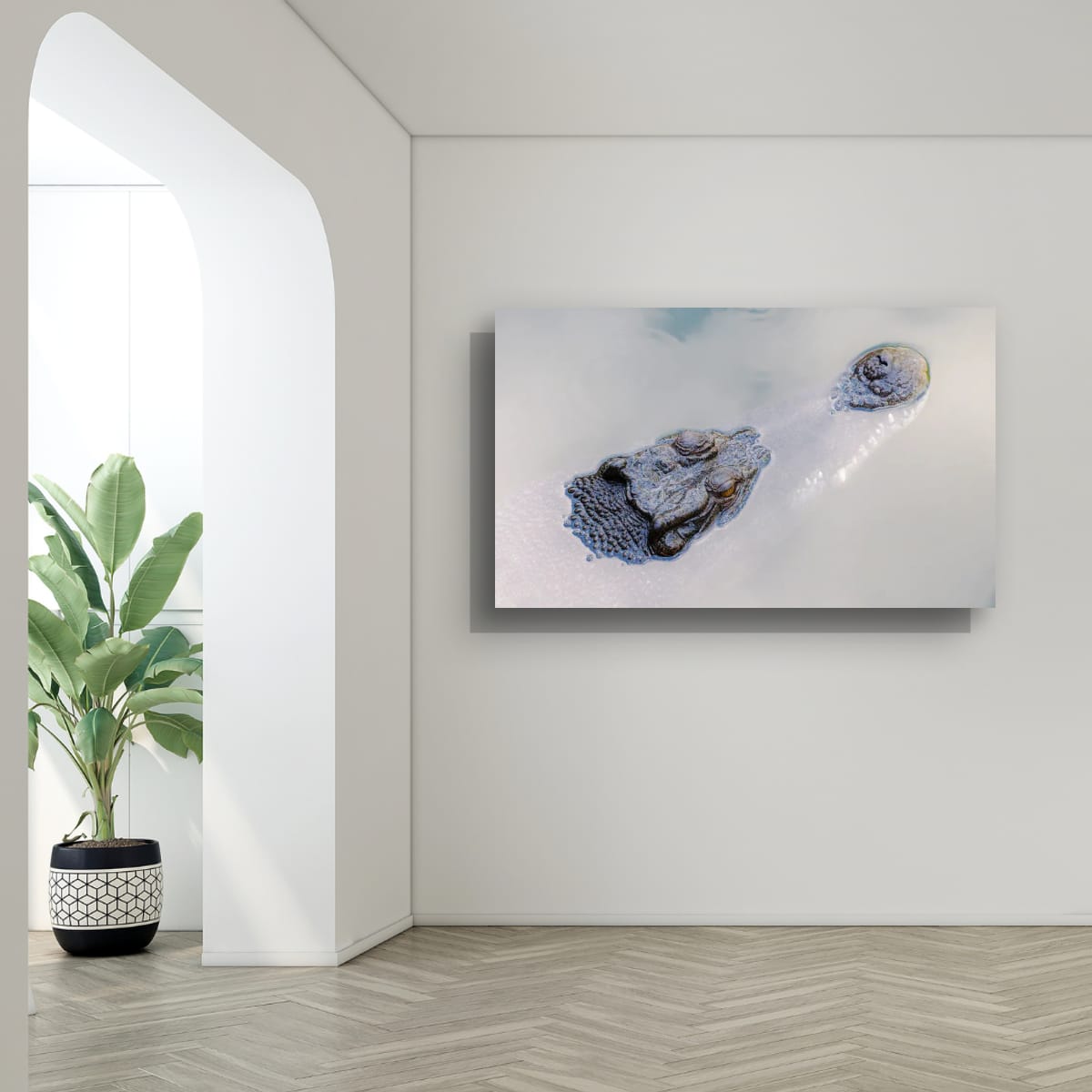 Darwin, Northern Territory – Crocodile Wildlife Wall Art