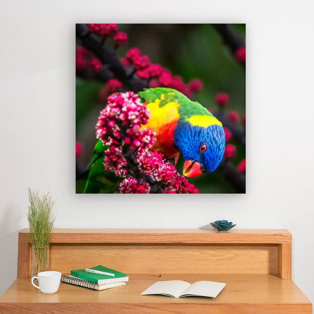 Rainbow Lorikeet – Vibrant Australian Wildlife Wall Art Print
