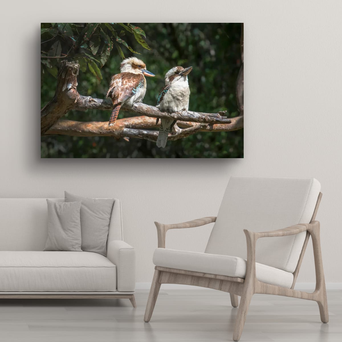 Kookaburra Wall Art – Australian Wildlife Photography Print (South East Queensland)
