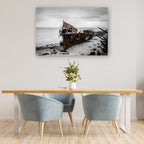 Woody Point, Queensland – Shipwreck, Coastal Wall Art