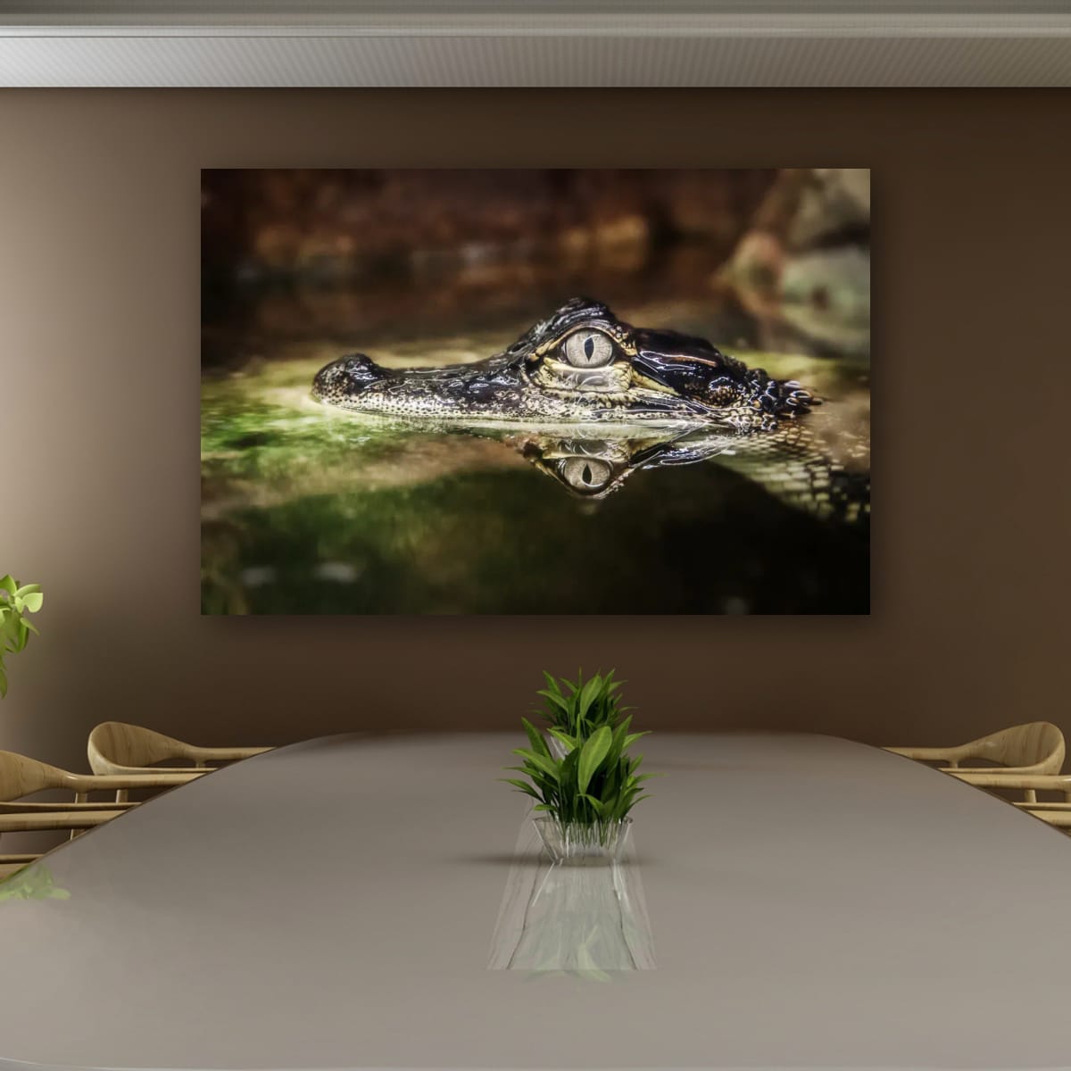 Beneath the Surface, Darwin, Northern Territory – Wildlife Wall Art