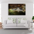 Beneath the Surface, Darwin, Northern Territory – Wildlife Wall Art