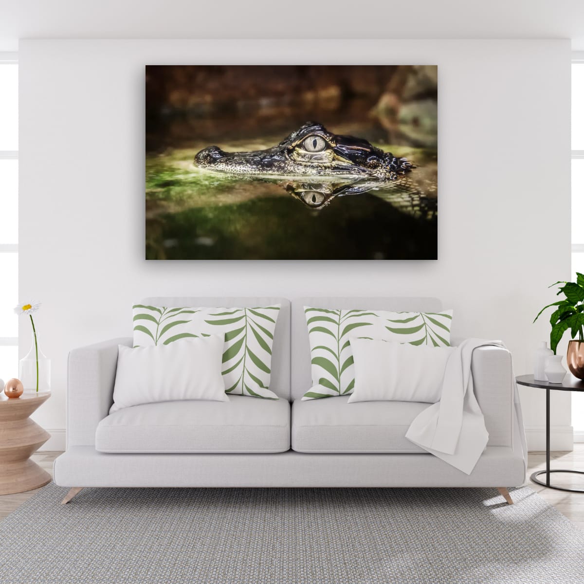 Beneath the Surface, Darwin, Northern Territory – Wildlife Wall Art