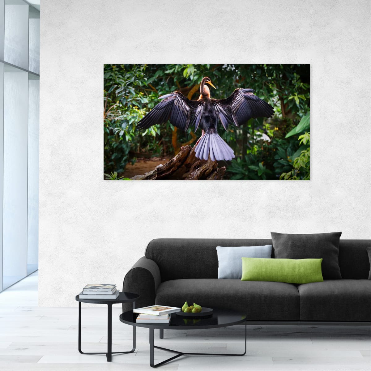 Australasian Darter, Far North Queensland, Australia – Wildlife Wall Art