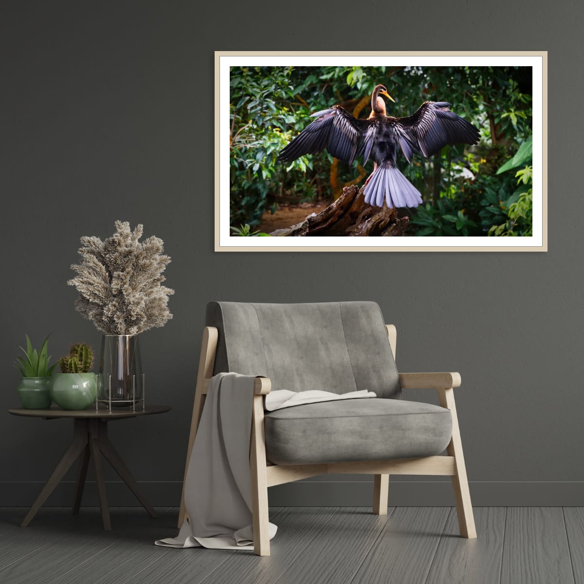 Australasian Darter, Far North Queensland, Australia – Wildlife Wall Art