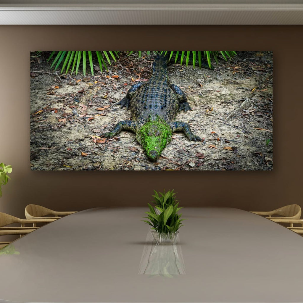 Green Mask, North Queensland, Australia – Wildlife Wall Art