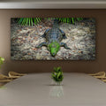 Green Mask, North Queensland, Australia – Wildlife Wall Art