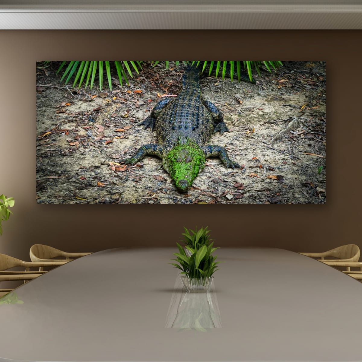 Green Mask, North Queensland, Australia – Wildlife Wall Art