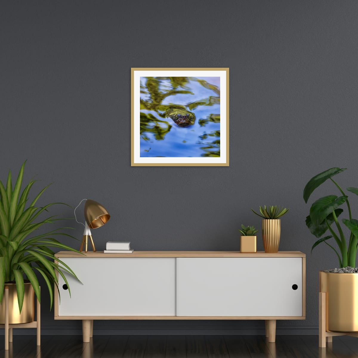 Curious Visitor, South East Queensland, Australia – Turtle Wall Art