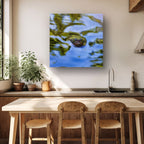 Curious Visitor, South East Queensland, Australia – Turtle Wall Art