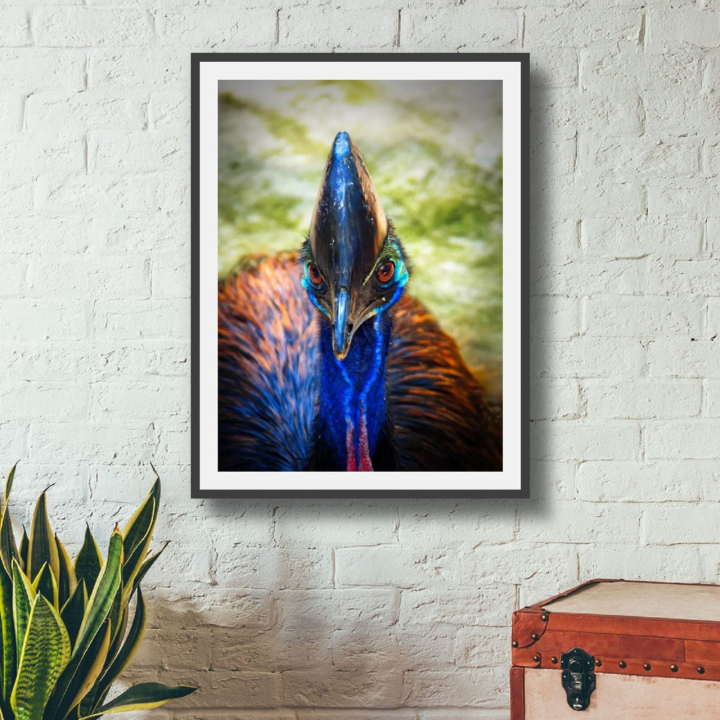 Rainforest Guardian, Far North Queensland, Australia – Wildlife Wall Art