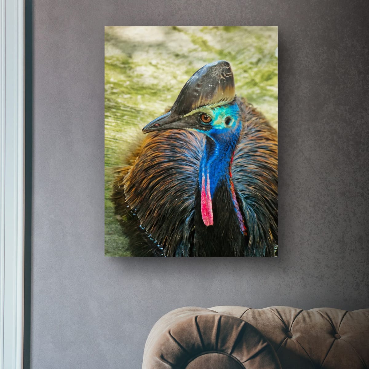 Ancient Guardian, Far North Queensland, Australia – Wildlife Wall Art