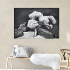 Whispers of Kiyosumi – Tokyo Zen Garden Wall Art