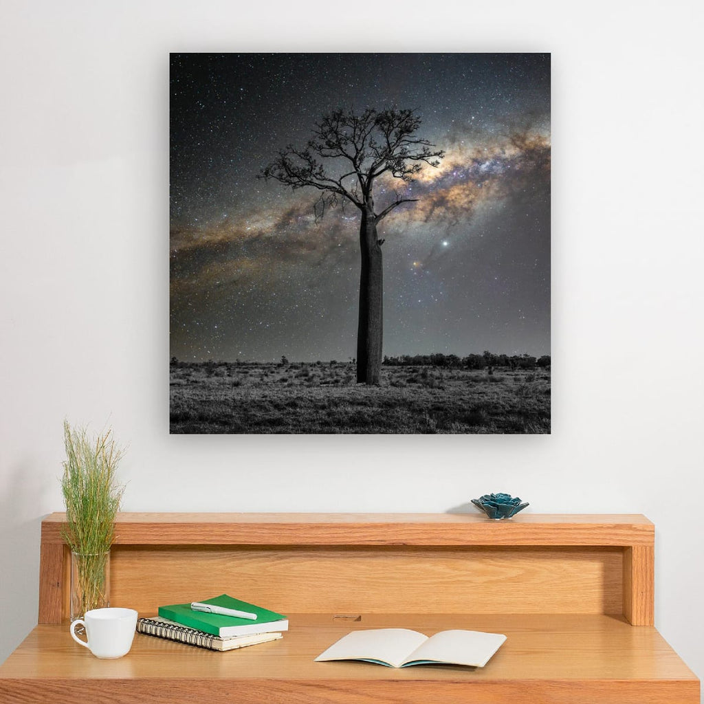 Regional Queensland, Australia – Boab Tree Landscape Wall Art