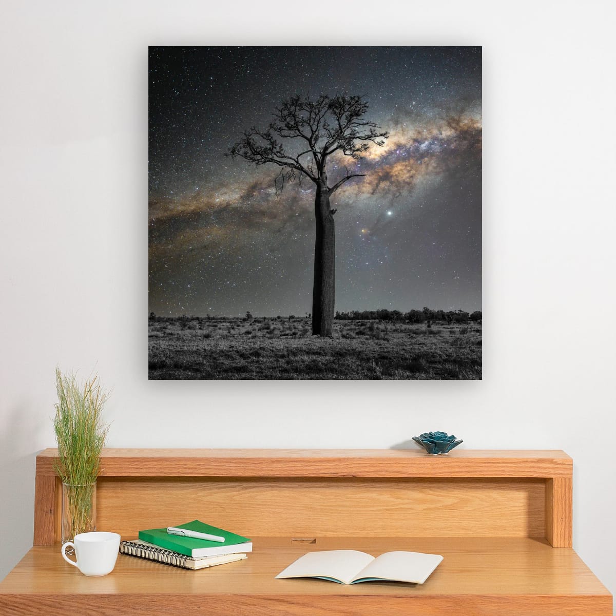 Regional Queensland, Australia – Boab Tree Landscape Wall Art