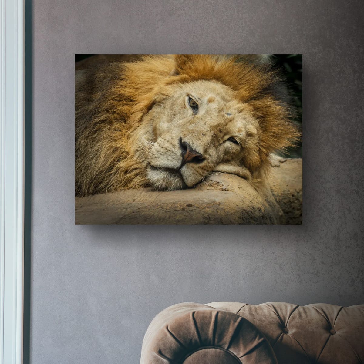 Bali, Indonesia – Lion Wildlife Wall Art
