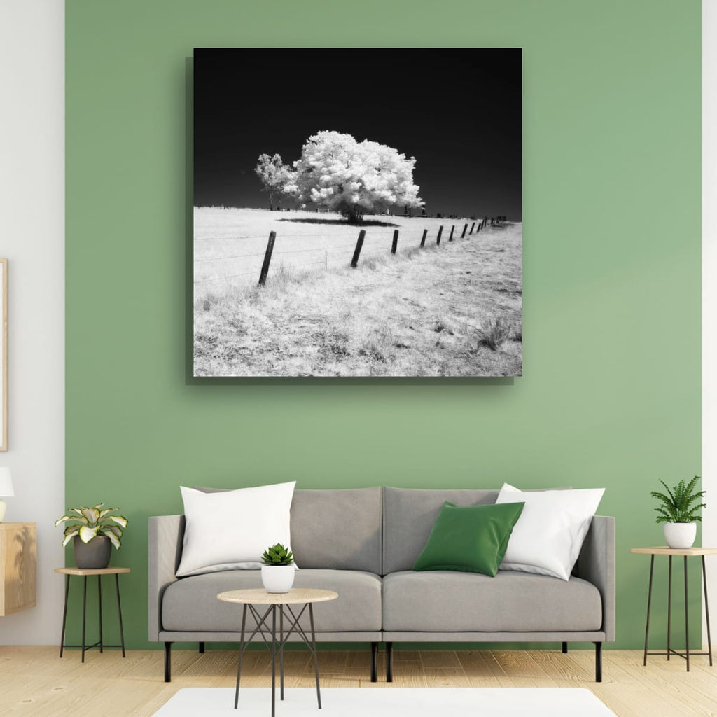 Esk, Queensland – Infrared Monochrome Tree Wall Art