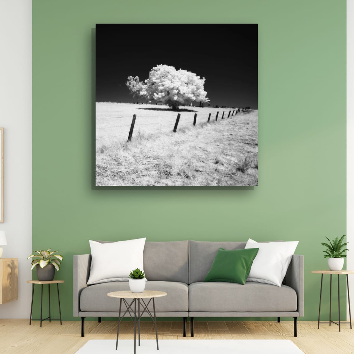 Esk, Queensland – Infrared Monochrome Tree Wall Art