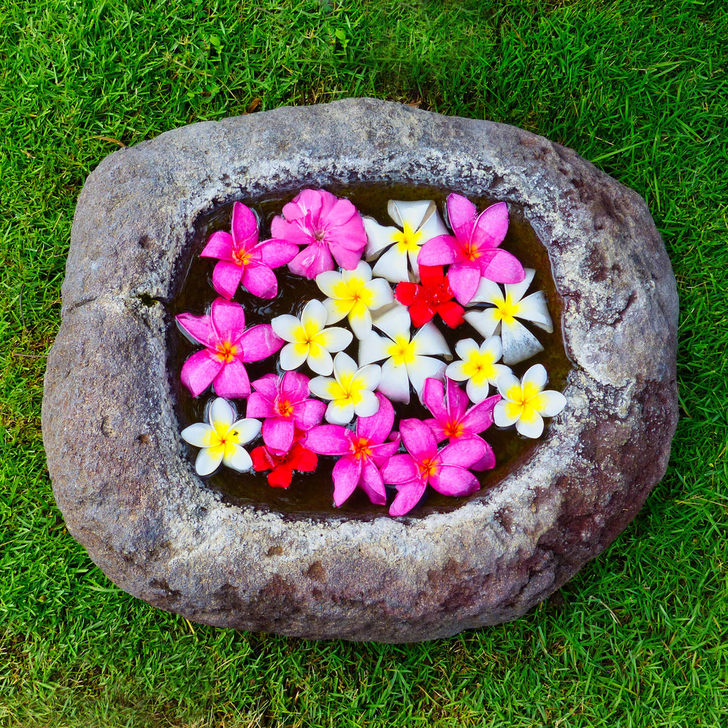 Tropical Floral Reflections, Bali, Indonesia – Botanical Wall Art