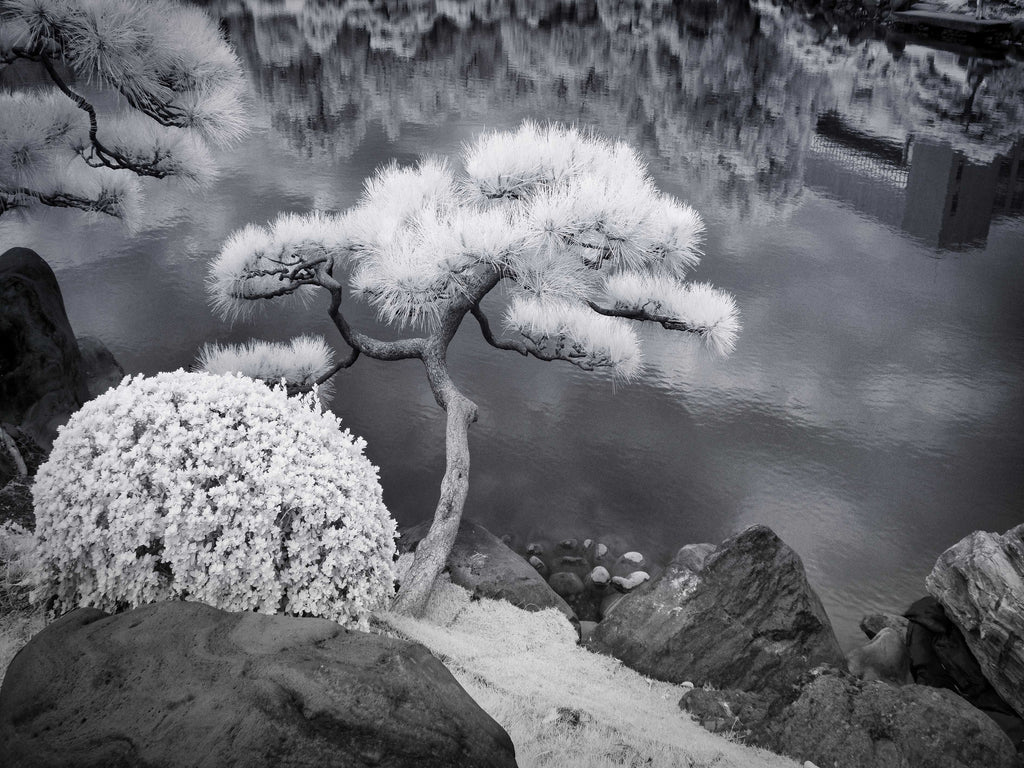 Kiyosumi Garden, Tokyo – Zen Landscape Wall Art