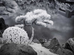 Kiyosumi Garden, Tokyo – Zen Landscape Wall Art