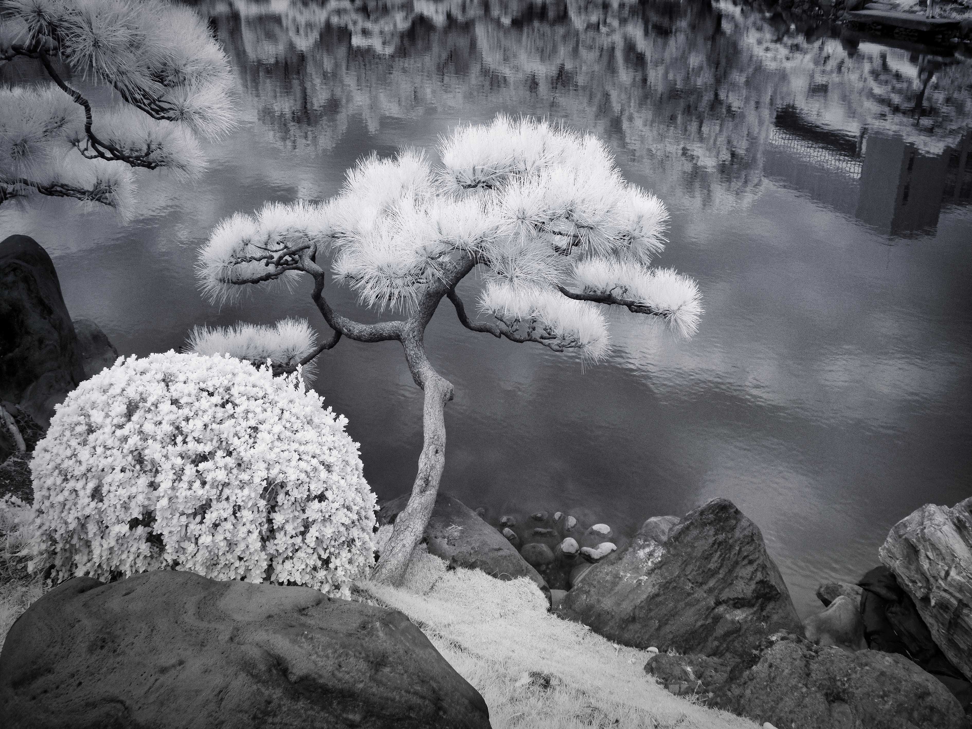 Kiyosumi Garden, Tokyo – Zen Landscape Wall Art