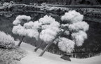 Kiyosumi Garden, Tokyo – Zen Landscape Wall Art