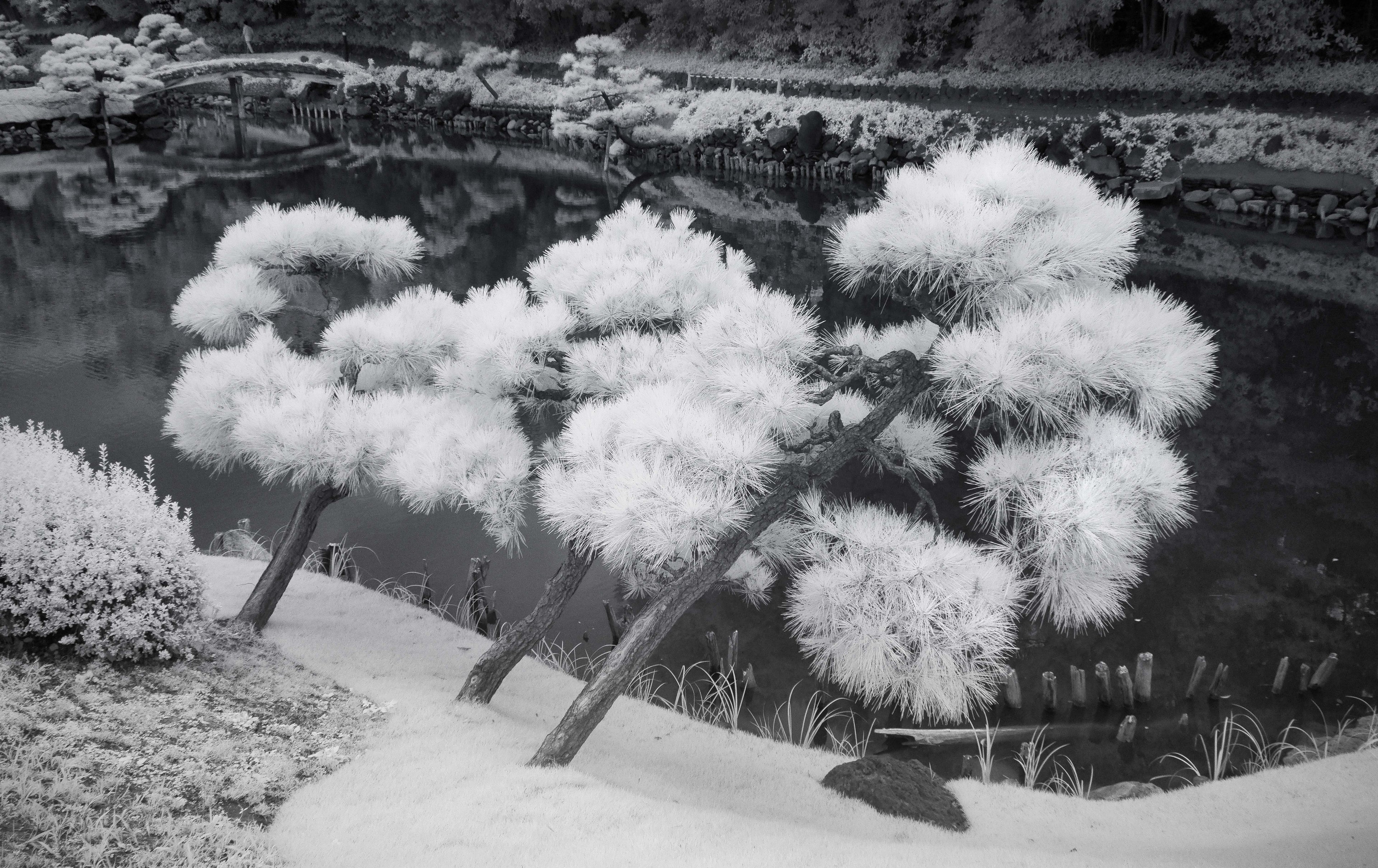 Kiyosumi Garden, Tokyo – Zen Landscape Wall Art