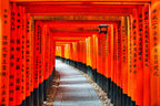 Kyoto, Japan – Fushimi Inari Shrine Wall Art