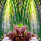 Sagano Bamboo Forest, Kyoto, Japan – Artistic Wall Art